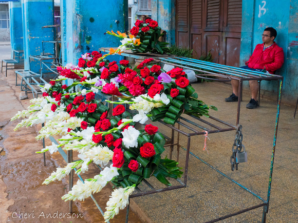 Havana Flower Market